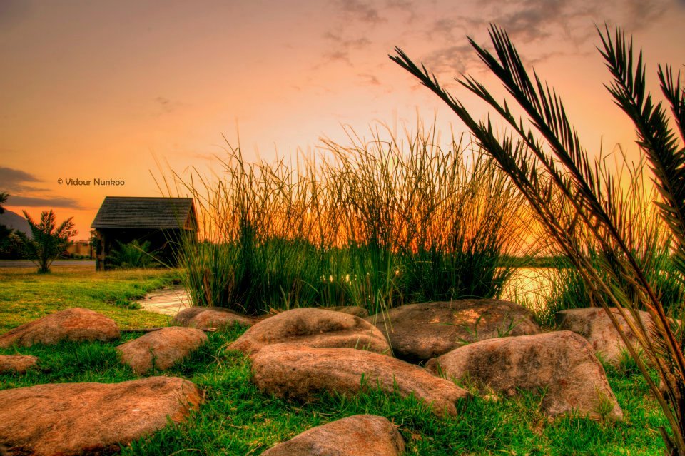 Landscape